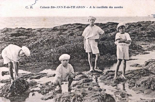 A la cueillette des moules - Colonie Sainte-Anne-de-Tharon