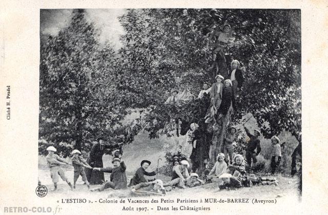 Dans les Chtaigniers - L'Estibo - Colonie  Mur-de-Barrez