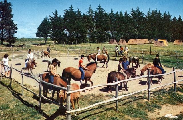 L'équitation - Colonie de vacances de l'Association Saint-Michel