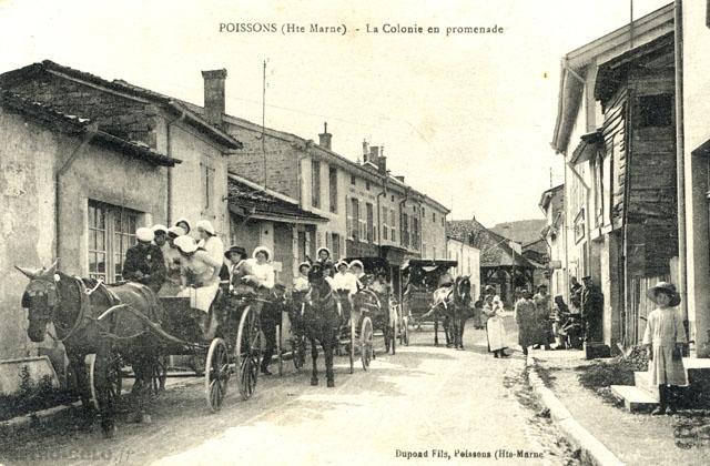 La colonie en promenade - Colonie de vacances  Poissons