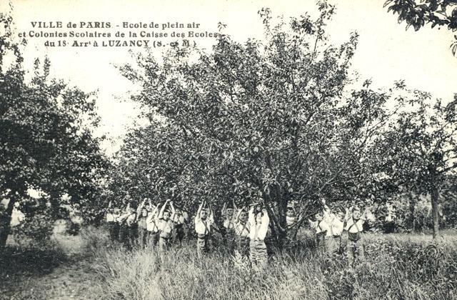 La cueillette des fruits - Colonies Scolaires du 18me arrondissement 