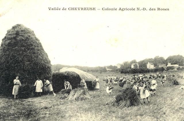 La moisson - Colonie Agricole Notre-Dame des Roses