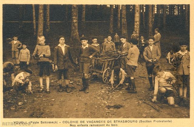 Nos enfants ramassant du bois - Colonie de vacances de Strasbourg