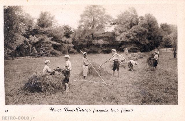 Nos tout-petits faisant les foins - Colonie de Vacances 