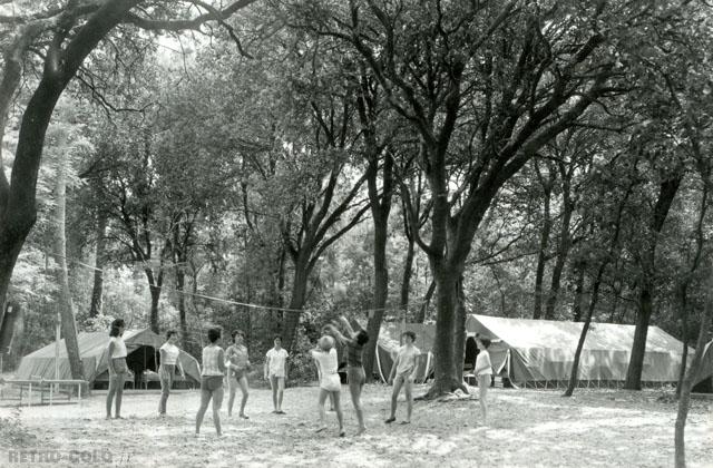 Une partie de volley - Colonie de Vacances  Saint-Georges-de-Didonne